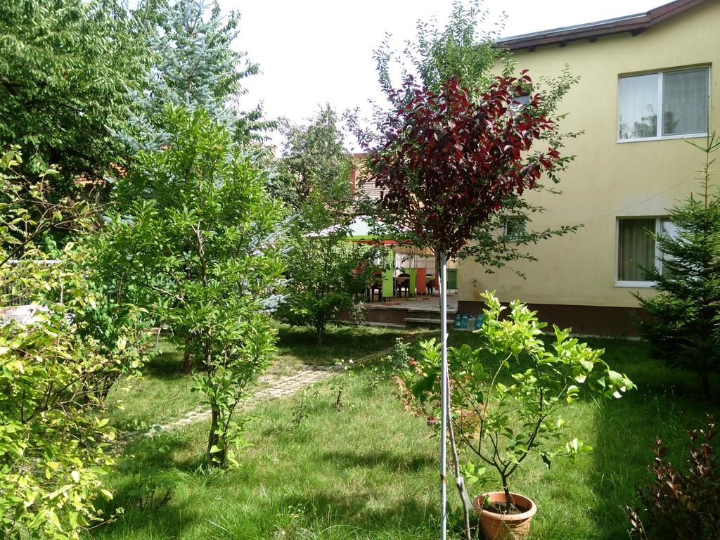 Pensiunea Paloma 3 Stele Braszów Zewnętrze zdjęcie